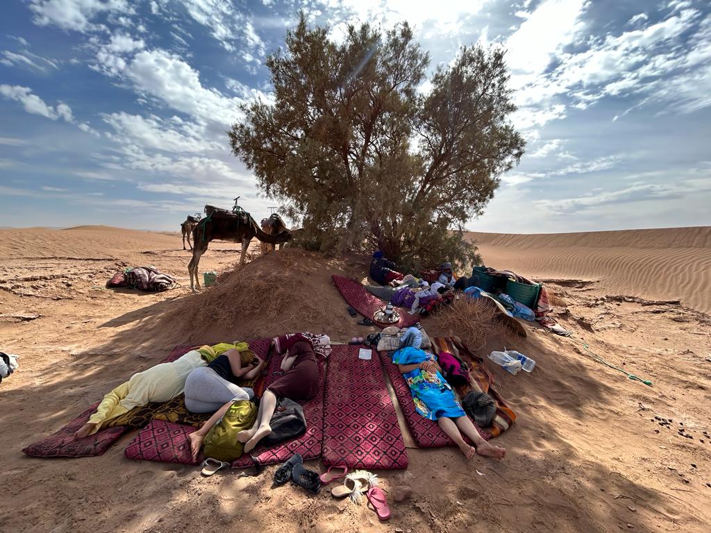 Trek, Wander- und Trekkingreise im Herzen der Sahara