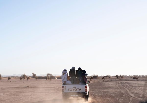 4x4 Touren in der Wüste