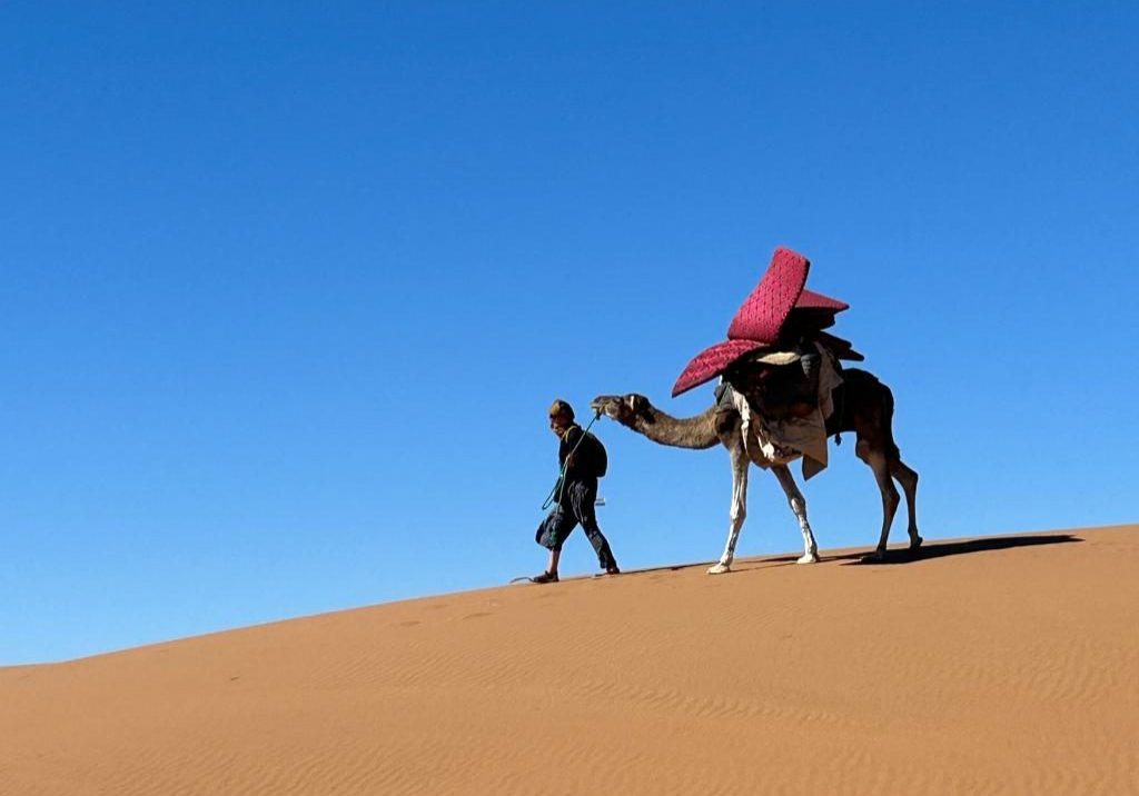 931c3a57-c03c-4301-8c12-2ce899c679cf